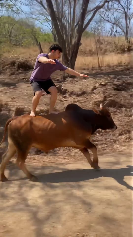 Bull Backflip Template Guide: Photos, Motion, and a Better Final Clip